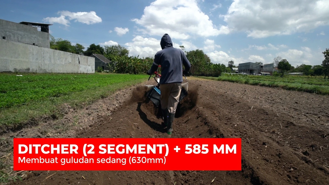 Guludan Sedang